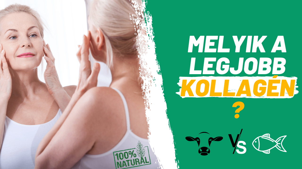 Melyik a legjobb kollagén? – Most kiderül!