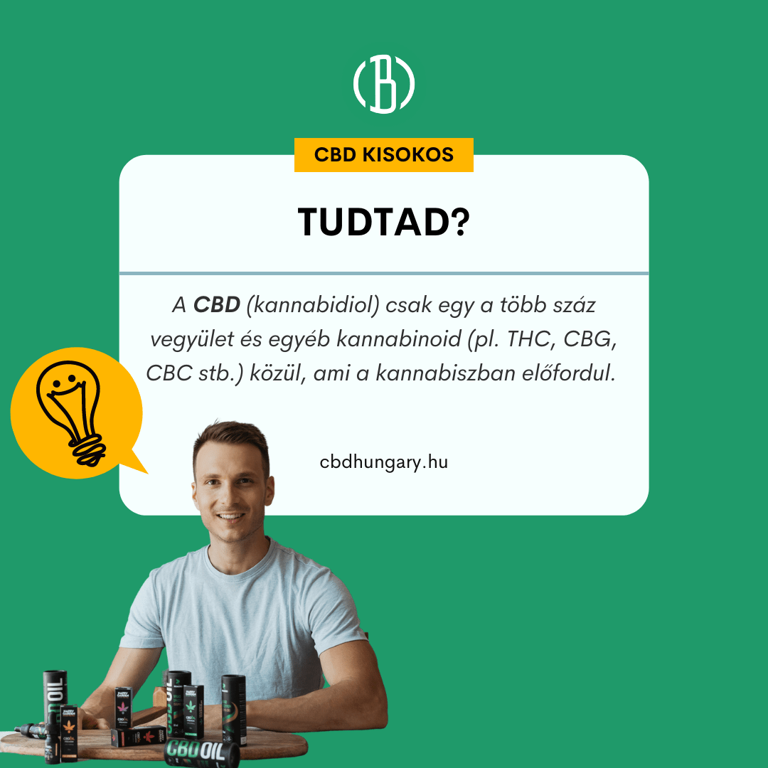 Pintér Márton CBD Hungary