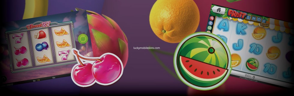 Ted Bingo casino login