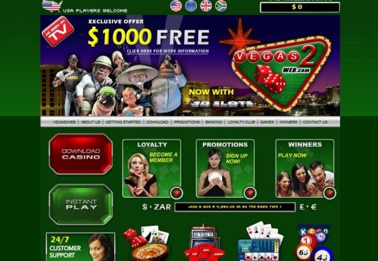 Ted Bingo casino login